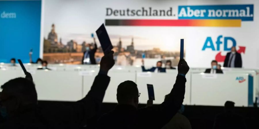 AfD-Parteitag