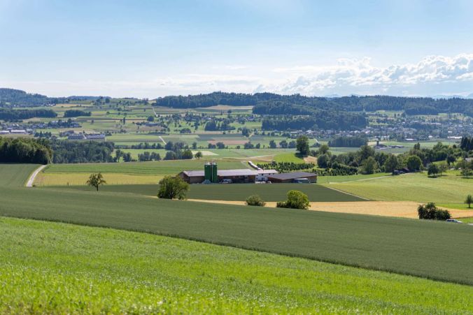 Aussicht aus dem Leutwiler Wald.