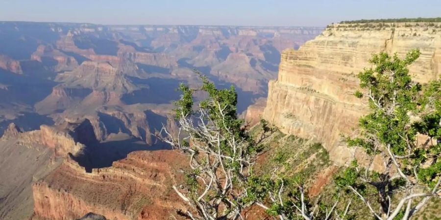 Forscher haben in US-Nationalparks wie dem Grand Canyon grosse Mengen an Mikroplastik gefunden. Foto: Andrea Warnecke/dpa-tmn