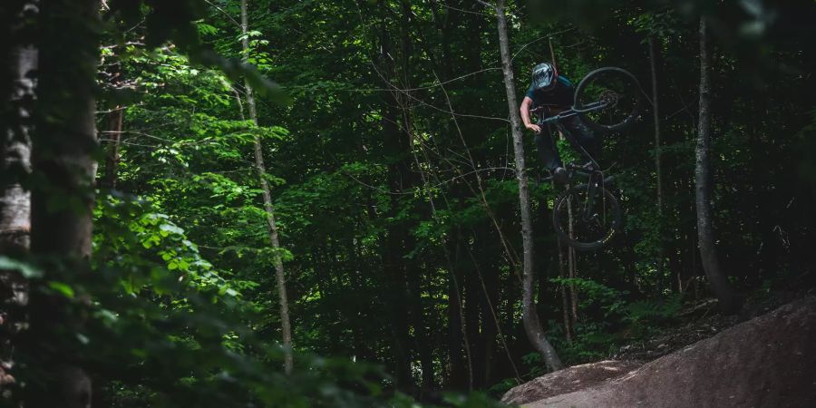 Bike Trail Thun