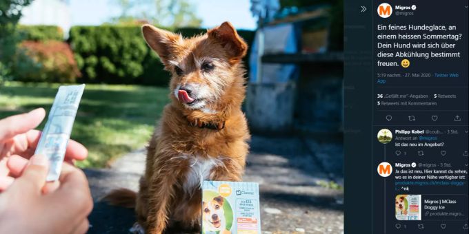 Die Migros verkauft neuerdings Hundeglacé. Migros Hundeglace