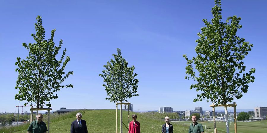 Christoph Schärer, Leiter Stadtgrün Bern, Ständeratspräsident Hans Stöckli, Bundespräsidentin Simonetta Sommaruga, Nationalratspräsidentin Isabelle Moret und Peter Kuhn, Leiter Baumkompetenzzentrum (von links) posieren vor drei gepflanzten Sommerlinden auf der Berner Allmend.