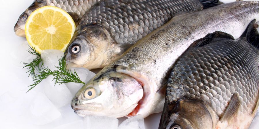 Fischfleisch ist ein guter Eiweisslieferant und enthält neben Mineralstoffen auch reichlich Jod und Vitamin D.