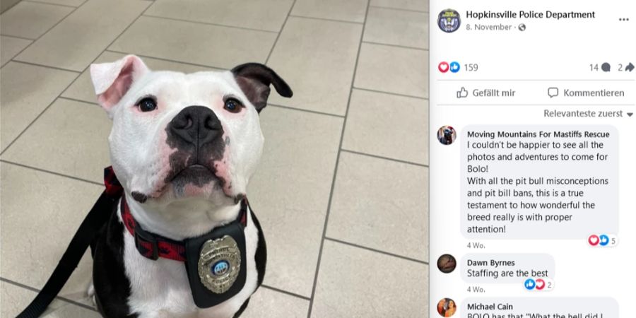 tierheim hund adoptiert polizei