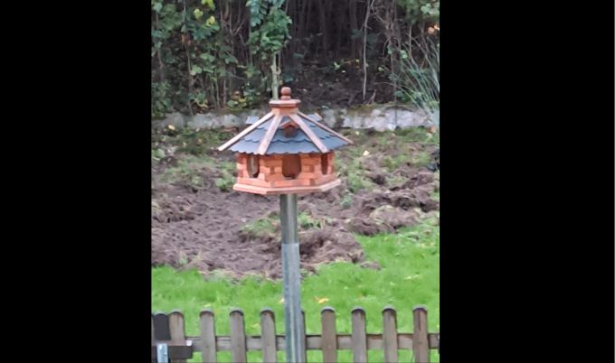 Der Garten von M. A.* bekam am Wochenende Besuch von einer Wildschwein-Rotte. facebook