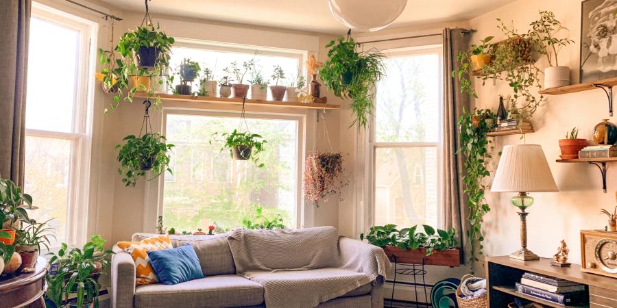 Wohnzimmer mit vielen Zimmerpflanzen