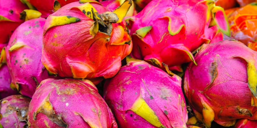 Pitahaya Drachenfrucht Farbe