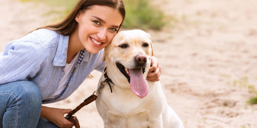 Hund, Frauchen, Besitzer, Bindung