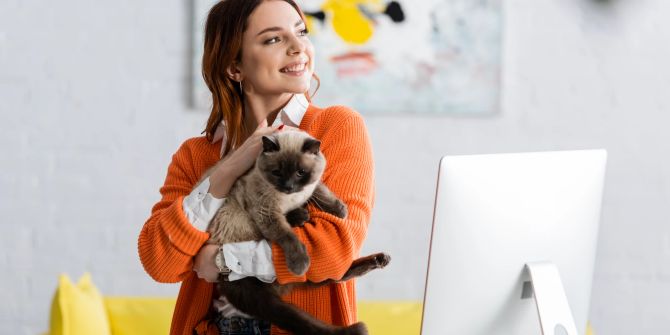 Katze, Büro, Besitzer