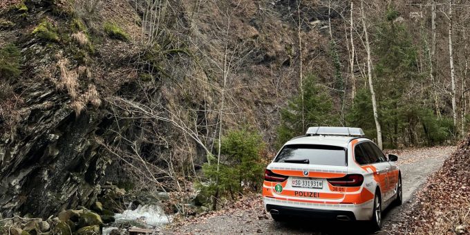 Grabserberg: Während Holzarbeiten abgestürzt. Während Holzarbeiten abgestürzt
