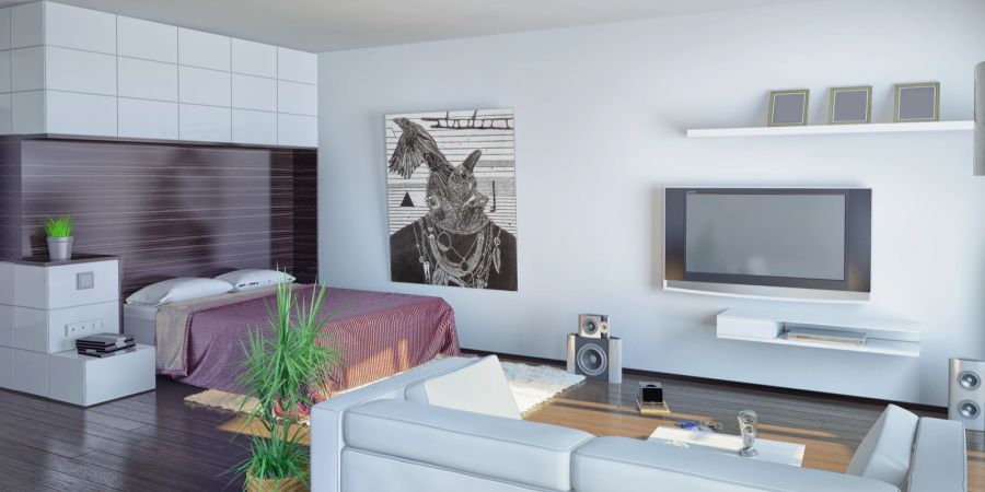 Eine Einzimmerwohnung kann auch geräumig und luxuriös wirken.