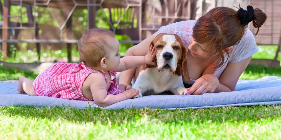 Es ist Aufgabe der Eltern, rechtzeitig einzugreifen, wenn Hunde sich Kindern gegenüber aggressiv verhalten.