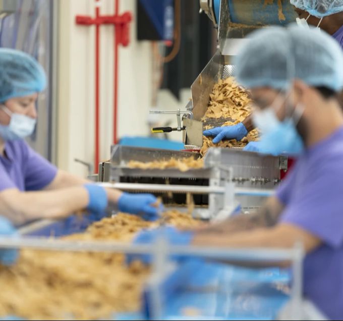 Fleischalternative Produktion