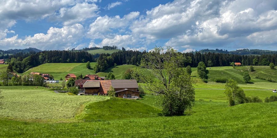 Entlebucher Landschaft aus dem Zug heraus gesehen.