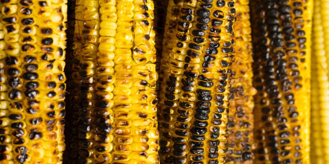 Rezept für gegrillten Maiskolben mit Miso-Butter | Nau.ch