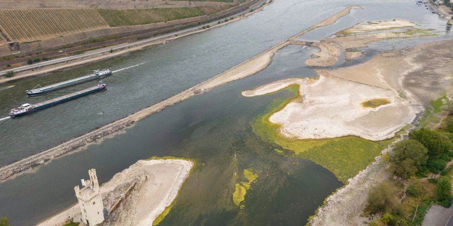 Durch geringe Niederschläge ist der Pegelstand im Rhein dieses Jahr so stark gesunken, dass die Binnenschifffahrt fast zum Erliegen gekommen ist.