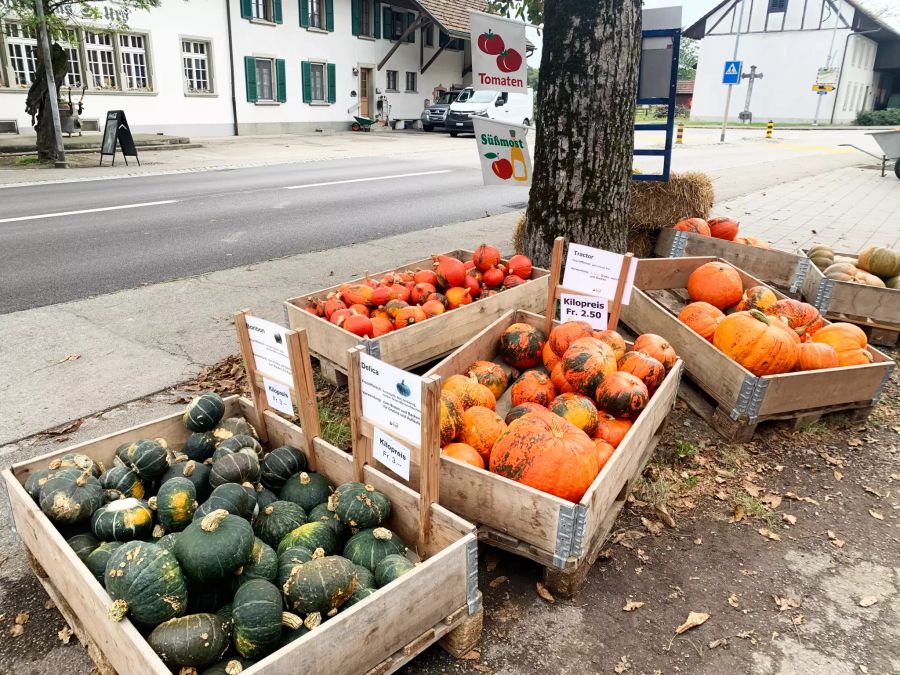 Kreuzplatzhof Studer Boningen