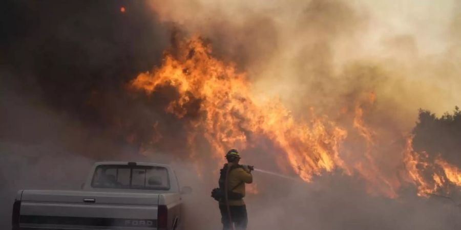 Ein Feuerwehrmann versucht, gegen die Flammen anzukämpfen. Foto: Jae C. Hong/AP/dpa