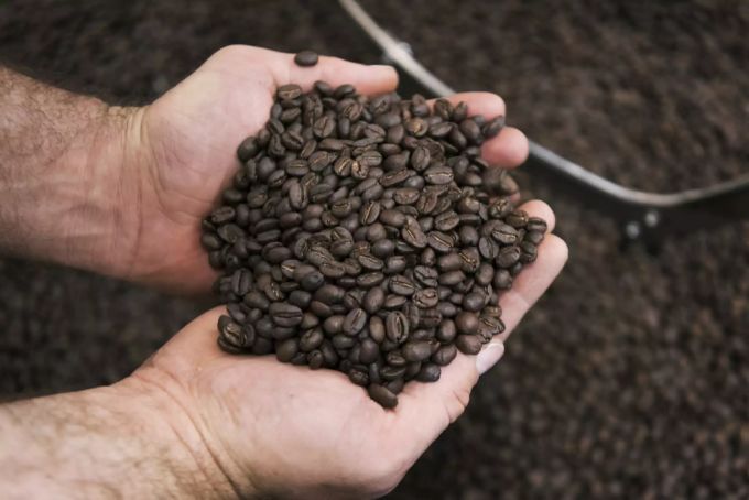 Zum Risikobereich gehören würde zum Beispiel der Kaffeeanbau. Laut Bundesrätin Karin Keller-Sutter wären Kaffeeröstereien in der Schweiz folglich von der Initiative betroffen. Kaffee Konzern-Initiative