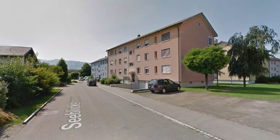 Rapperswil-Jona