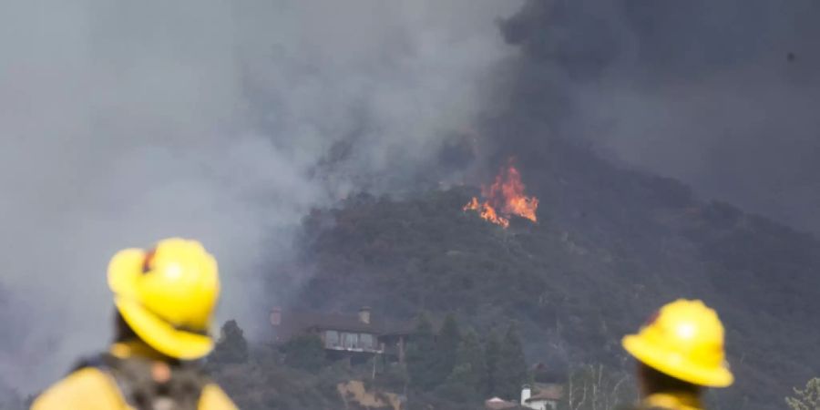 Feuerwehrleute beobachten einen Waldbrand. Foto: Ringo H.W. Chiu/AP/dpa