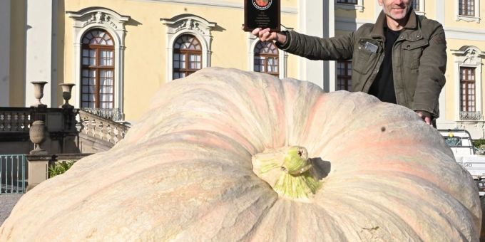 Kürbiszüchter und Titelverteidiger Stefano Cutrupi feiert seinen Europameisterschaftstitel, den er beim Wettwiegen um den schwersten Kürbis gewonnen hat. Kürbiszüchter und Titelverteidiger Stefano Cutrupi feiert seinen Europameisterschaftstitel, den er beim Wettwiegen um den schwersten Kürbis gewonnen hat.