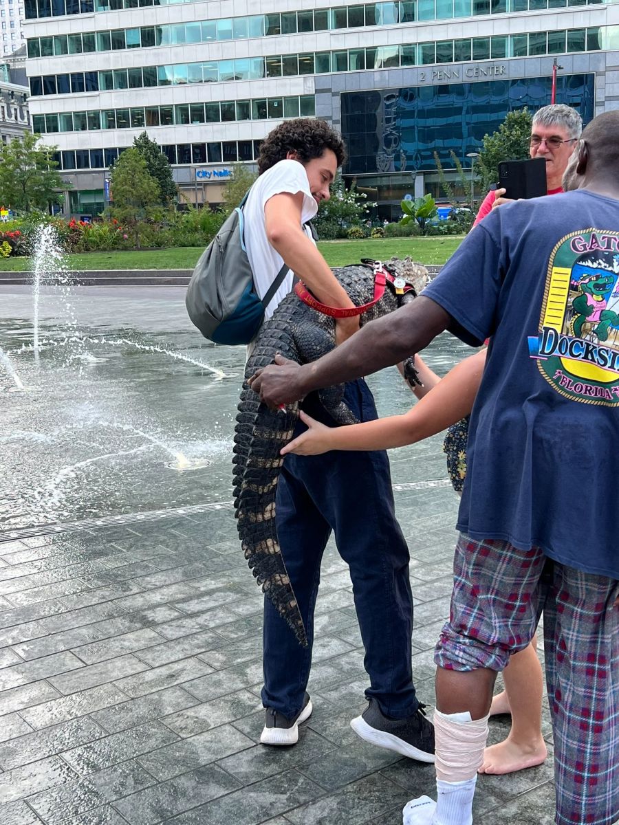 Das 1,6 Meter lange Tier lässt sich aufheben und bleibt dabei ganz ruhig.