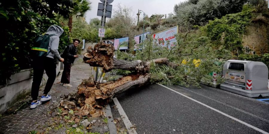 Ein vom Sturm umgefallener Baum versperrt in Italien eine Strasse.