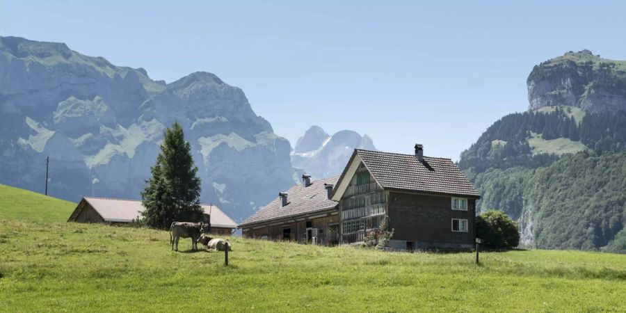 Alphütte umgben von Wiesen und Berge im Hintergrund - Keystone