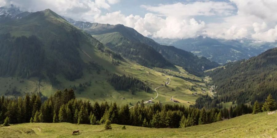 Die Aussicht auf das Prättigau.