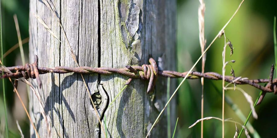 Ein Stacheldrahtzaun auf einer Wiese.