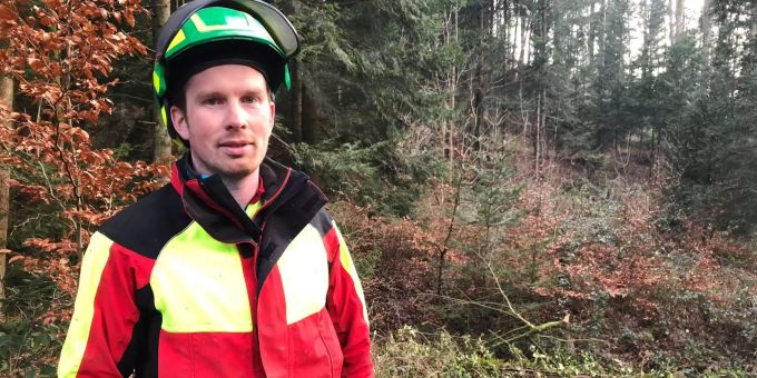 «Burglind» - «Aufräumen in Basler Wäldern dauert noch Wochen»