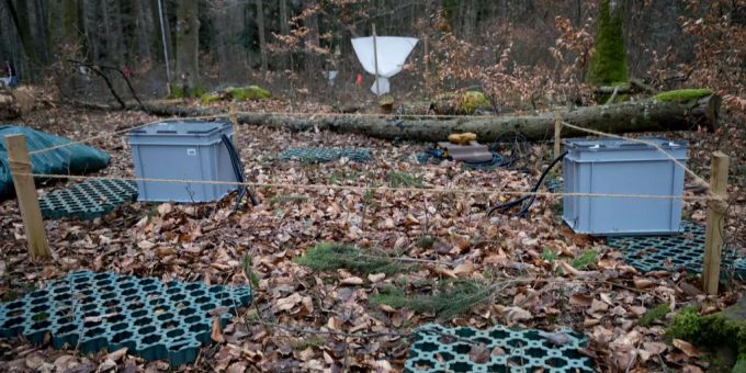 Die Uni Basel bereitet ein Langzeitklimaexperiment vor. Die Uni Basel bereitet ein Langzeitklimaexperiment vor.