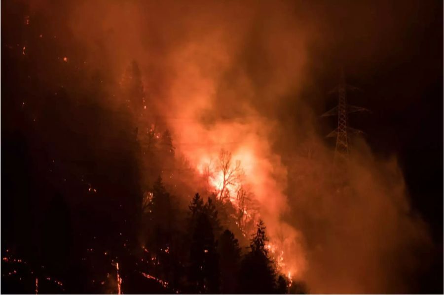 Misox (GR), Dezember 2016: Zweieinhalb Wochen wütete das Feuer auf einer Fläche von rund 150 Fussballfäldern. 1600 Tonnen Wasser haben Löschhelikopter abgeworfen.