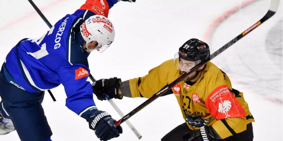 «Klingenkreuzen» zwischen den ZSC Lions und Nottingham