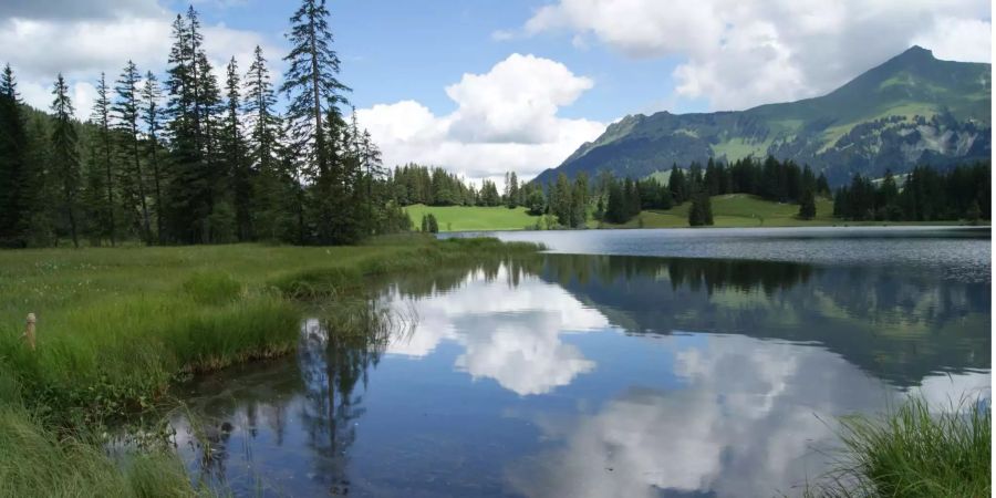 Der Lauenensee im Kanton Bern.