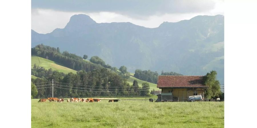 In Damaskus (SYR) war das Flirren einer herannahenden Bombe Alltag. Im Berner Oberland ist alles ruhig.