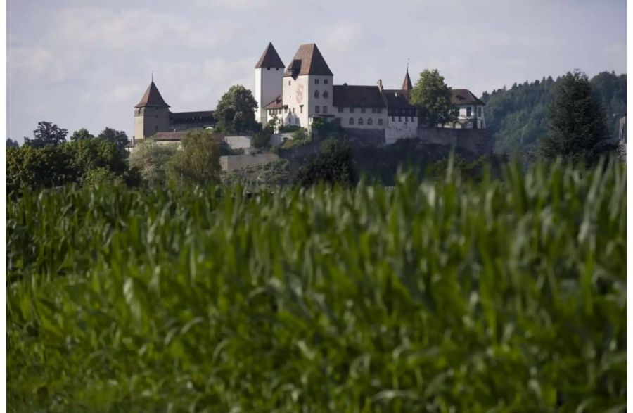 Schloss Burgdorf - Keystone