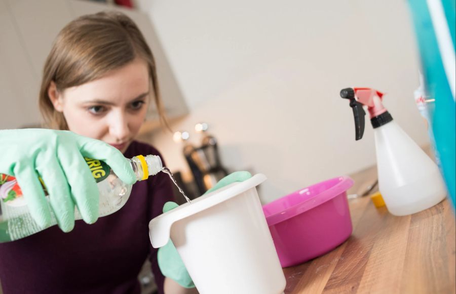 Frau Putzmittel Gefässe Plastik Handschuh