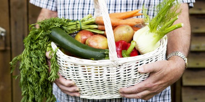 hombre cesta vegetales zucchetti hinojo apple