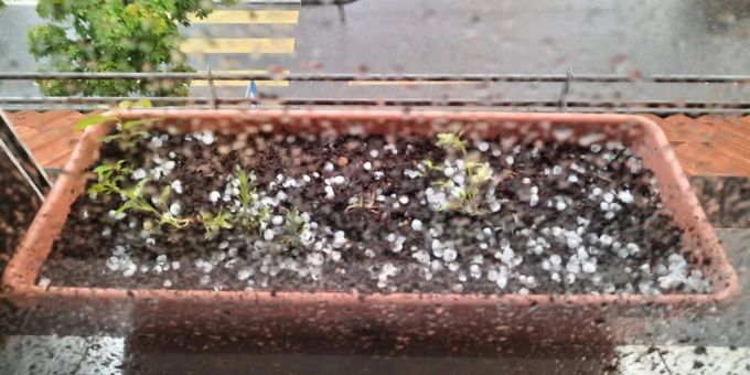 In Bern kam es am Donnerstag zu heftigen Gewittern. Heftige Gewitter viel Regen