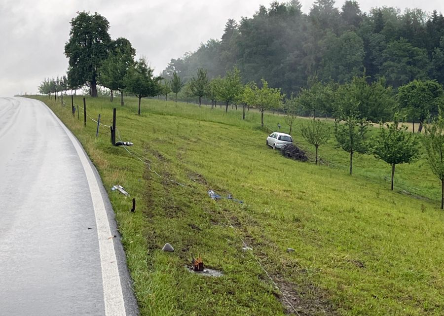 In Ballwil kollidierte eine Lenkerin mit Zaunpfählen und einem Baum