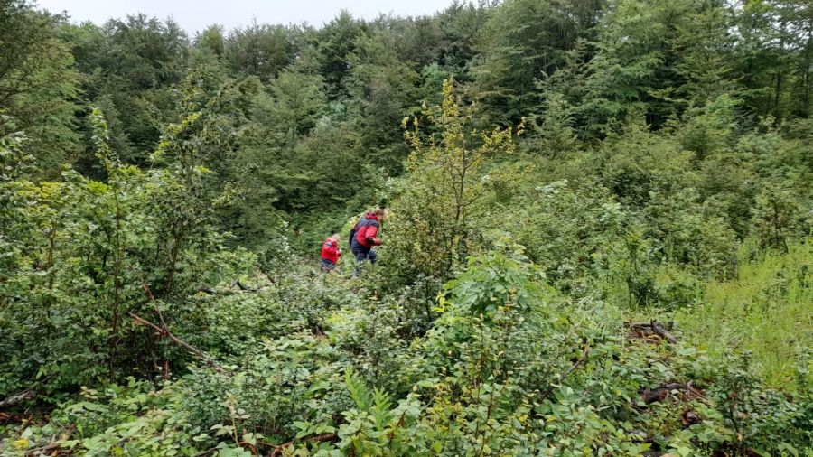 Sie müssen die Maschine in dicht bewaldetem und unwegsamen Gelände orten.