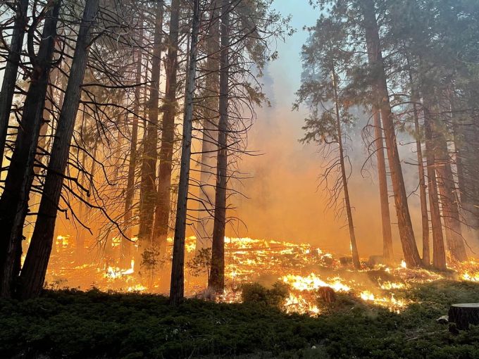 Feuer im Yosemite-Nationalpark. Yosemite