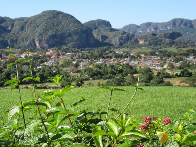 Das Viñales-Tal im Westen Kubas ist Nationalpark und Unesco-Welterbe. Gras Blumen Tal Dorf Berge Wald