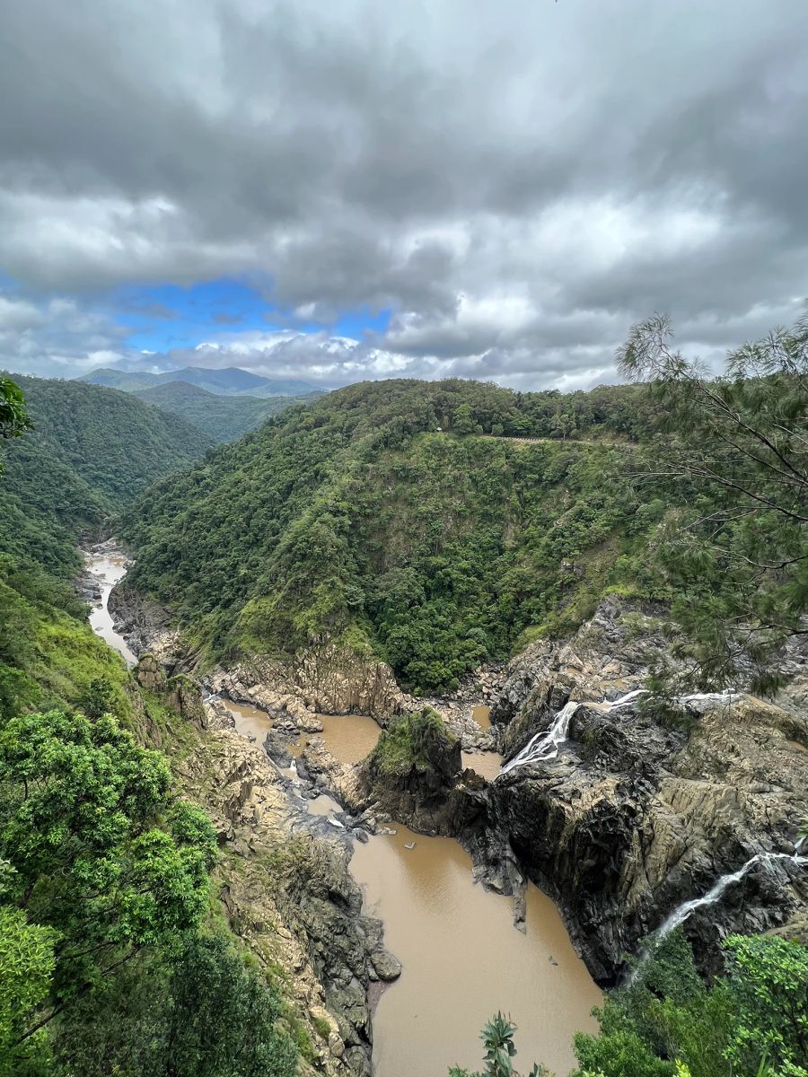 Regenwald Schlucht Fluss grün