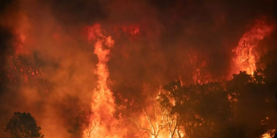 Waldbrand nahe Chefchaouen in Marokko am Sonntag