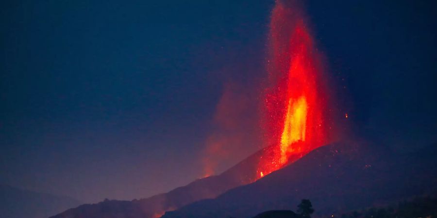 la palma