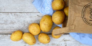 Verschiedene Sorten von Speisekartoffeln