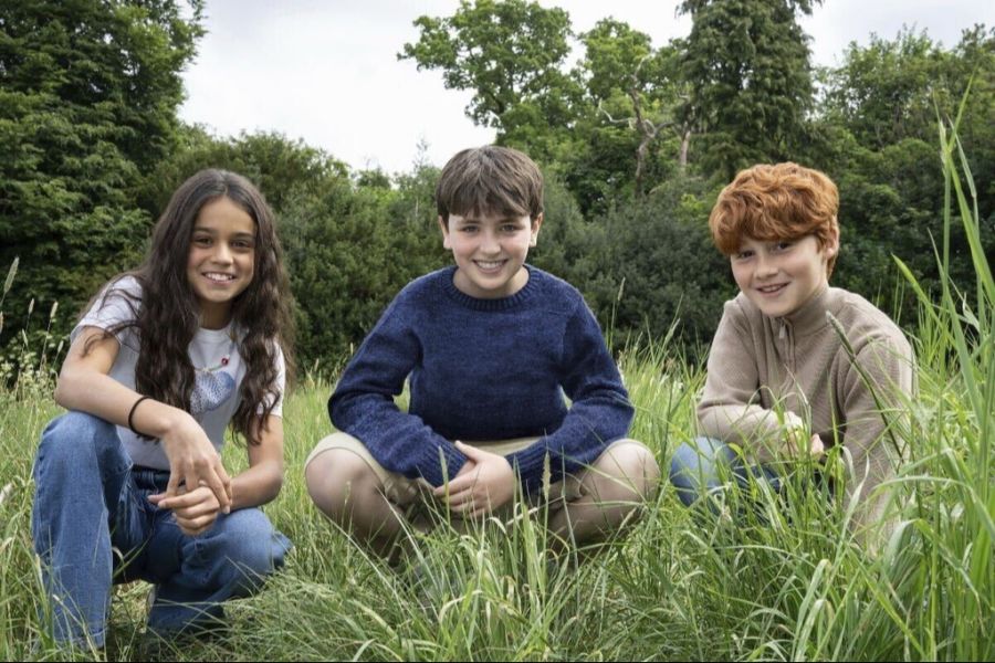 harry potter serie hermine